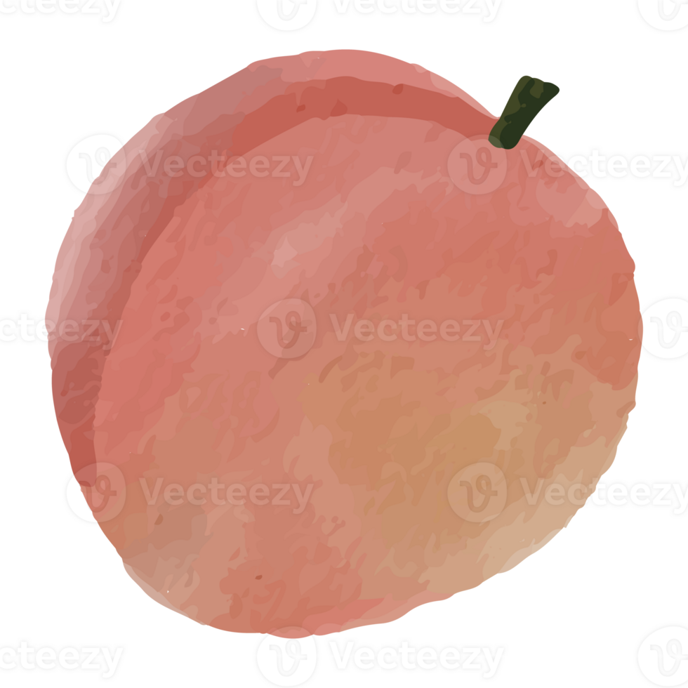 Peach Fruit Watercolor Clip art Element Transparent Background png
