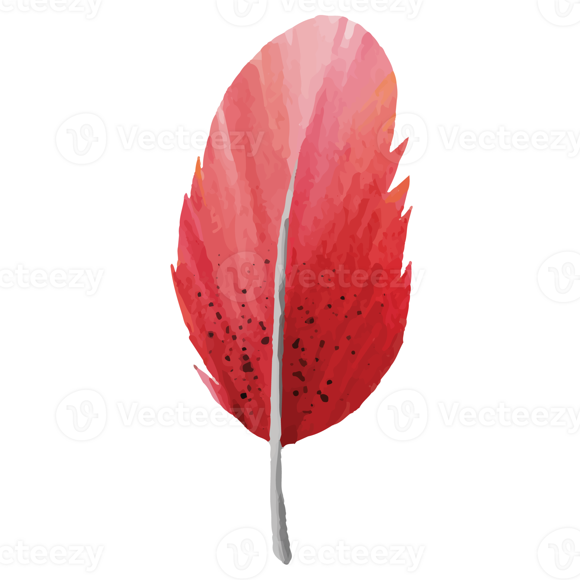 Feather Clip art Element Transparent Background 24400491 PNG