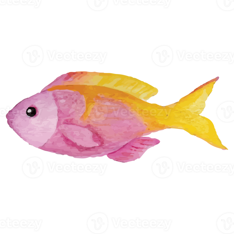 Sea Fish Transparent Background 24400494 PNG