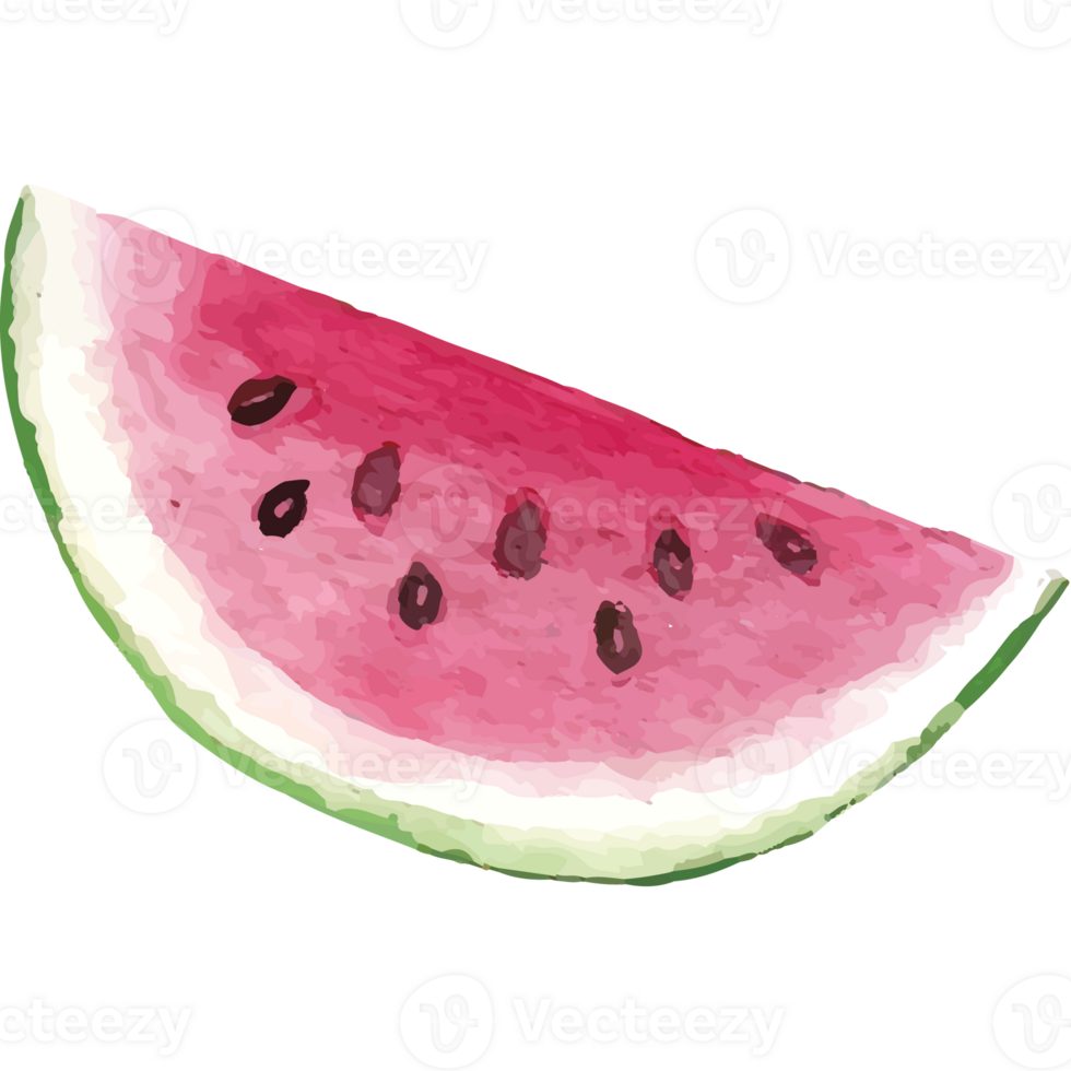 Watermelon Piece With Bite Clip art Element Transparent Background png