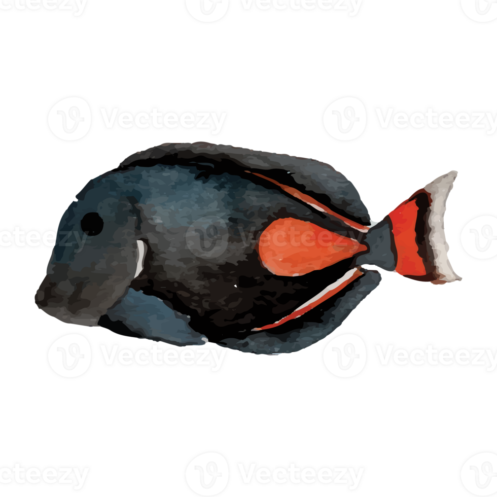 Sea Fish Transparent Background 24400580 PNG