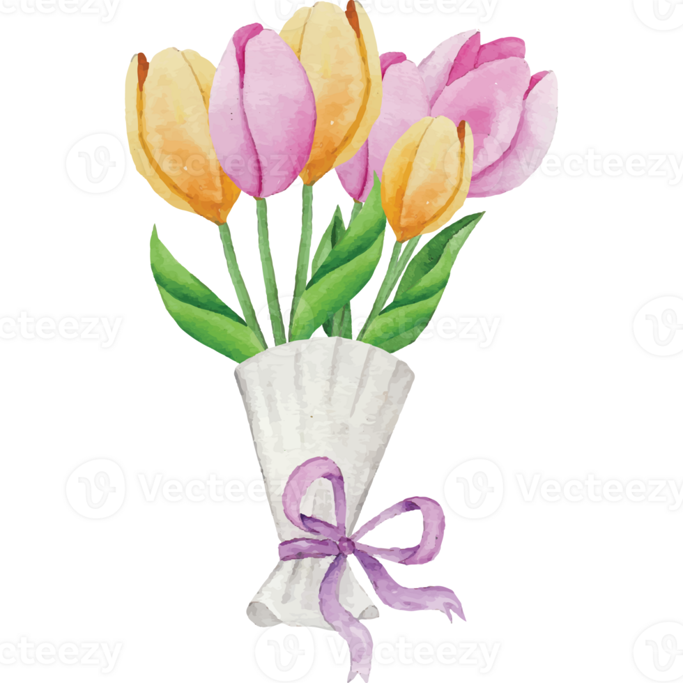 Tulips Flower on transparent background png
