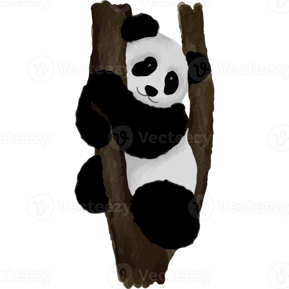 Panda dans différent pose agrafe art élément transparent Contexte png