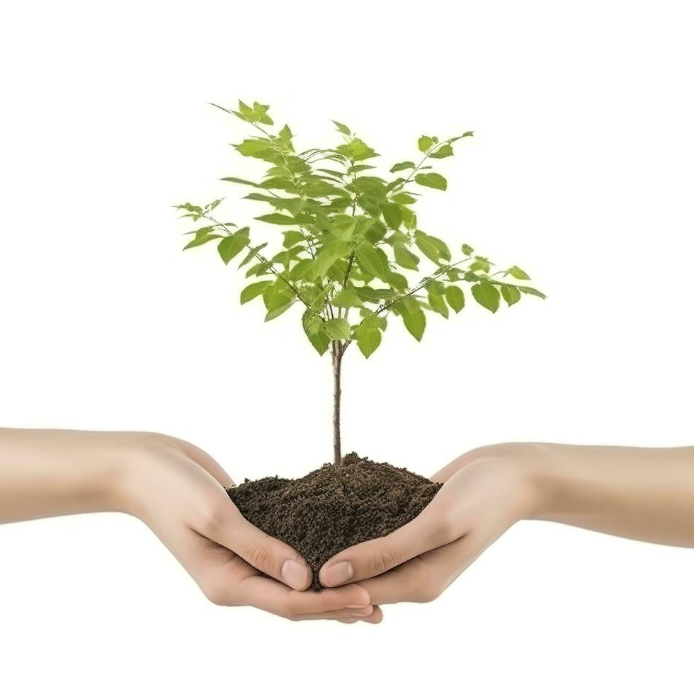 Environment Earth Day In the Tree plant in hand isolated on transparent background.Forest conservation concept, concept eco earth day. Saving the environment, ecology concept, generate ai photo