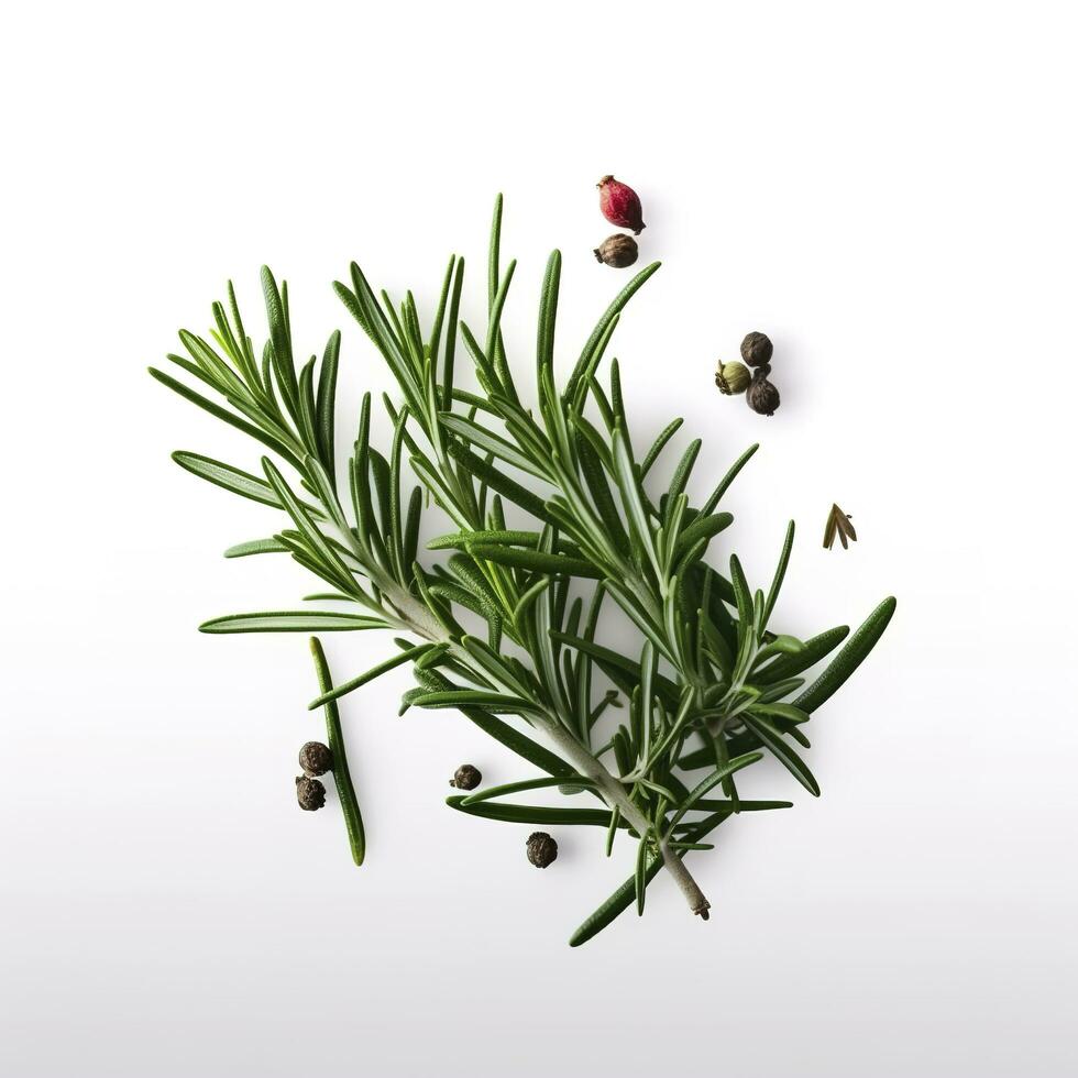 Fresh green organic rosemary leaves and pepper isolated on white background. natural transparent shadow, Ingredient, spice for cooking. collection for design, generate ai photo