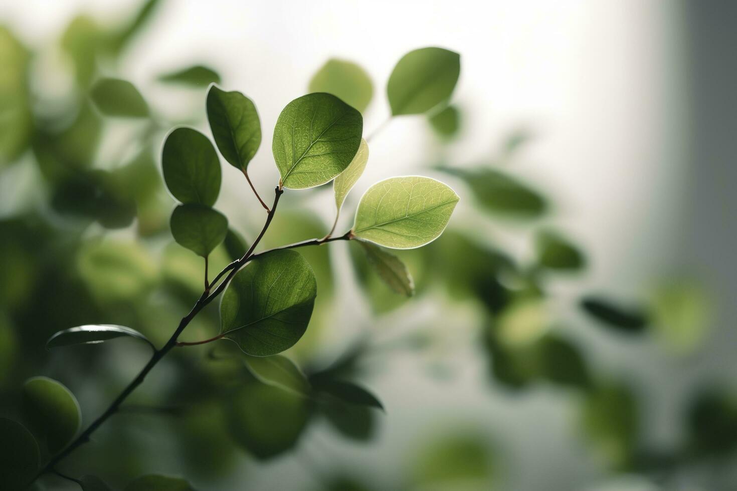 Close up of nature view green leaf on blurred greenery background under sunlight with bokeh and copy space using as background natural plants landscape, ecology wallpaper or cover, generate ai photo