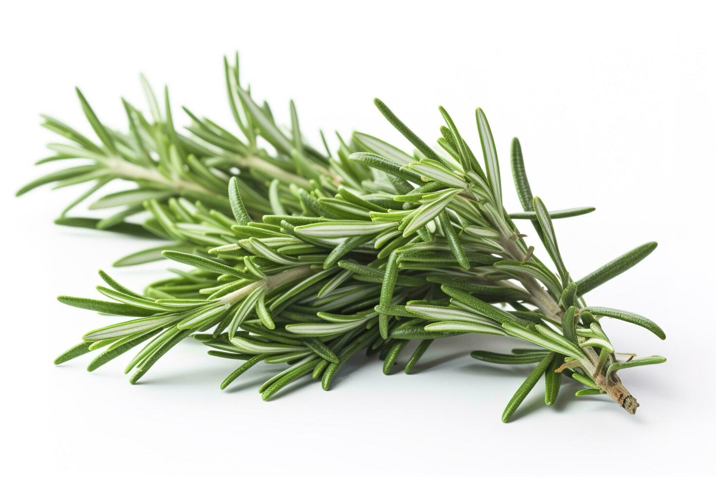 Fresh green organic rosemary leaves and peper isolated on white background, generate ai photo