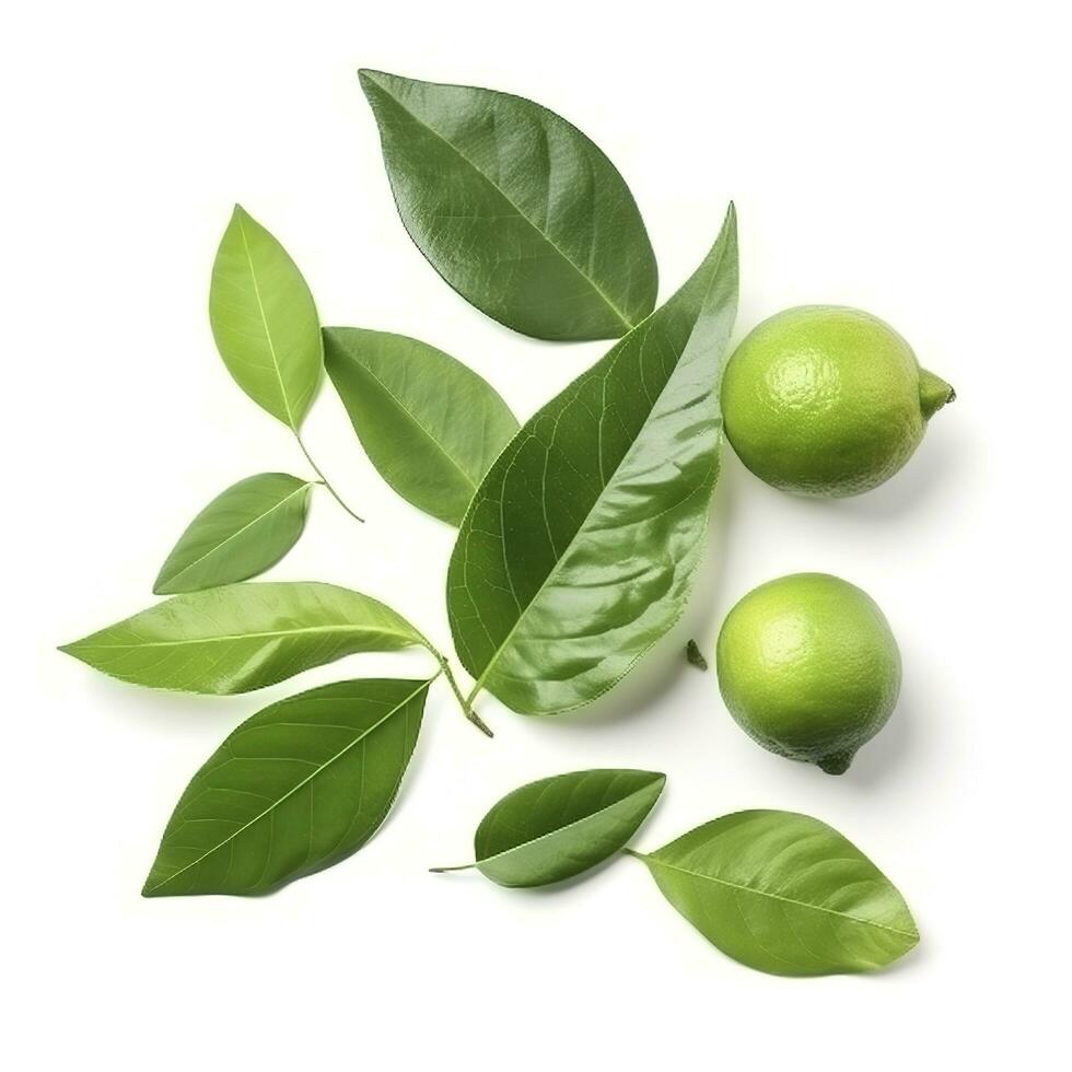 Fresh lemon with green leaves isolated on white background, generate ai photo