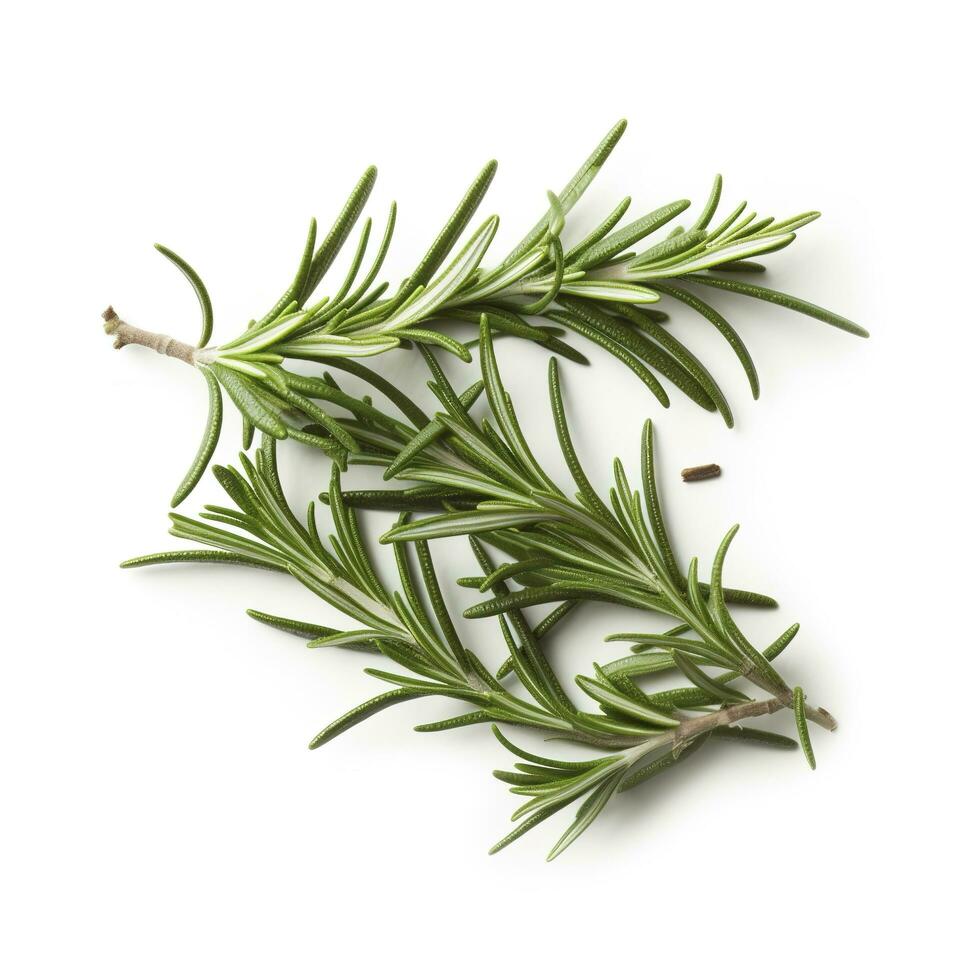 Fresh green organic rosemary leaves and pepper isolated on white background. natural transparent shadow, Ingredient, spice for cooking. collection for design, generate ai photo