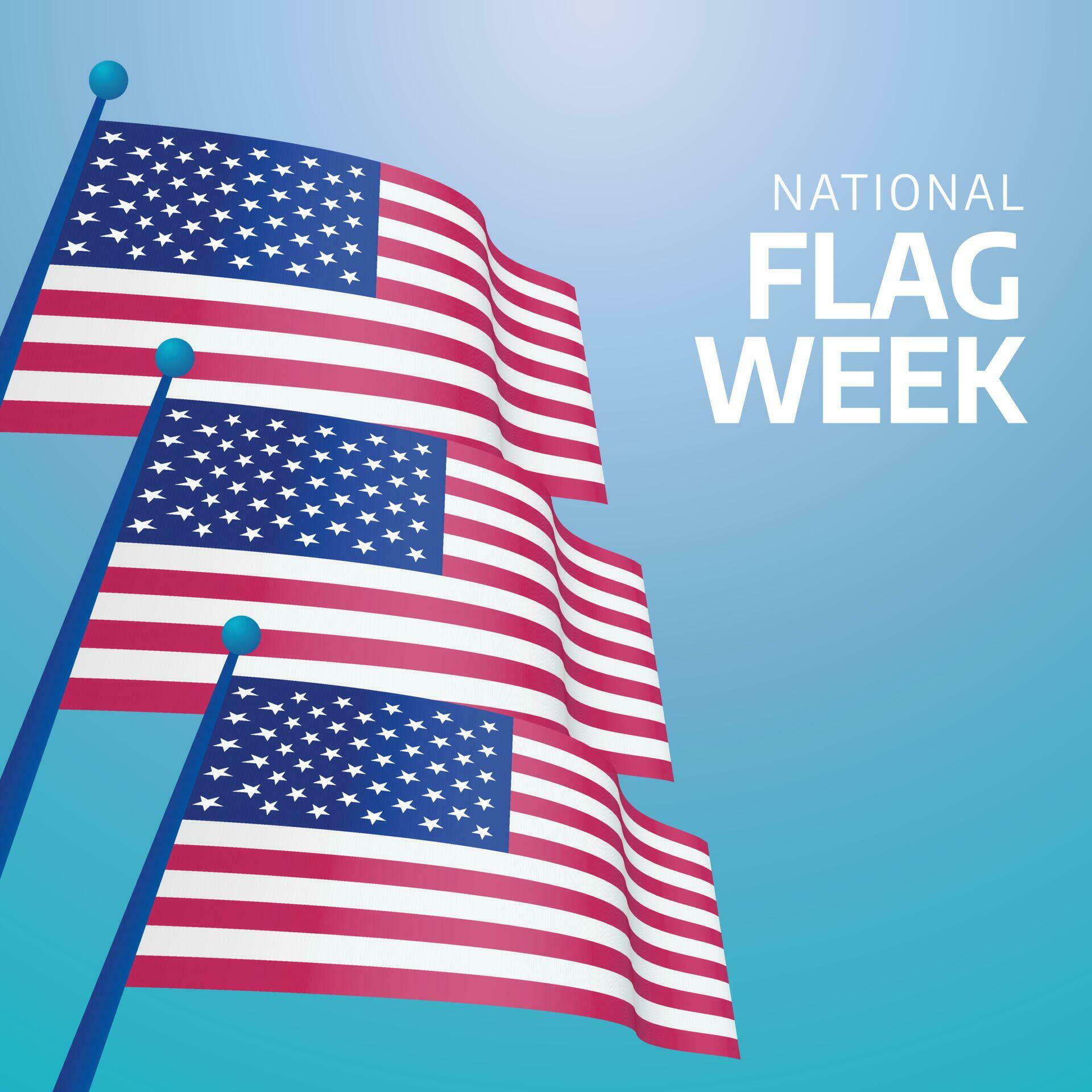 vector graphic of National Flag Week good for National Flag Week