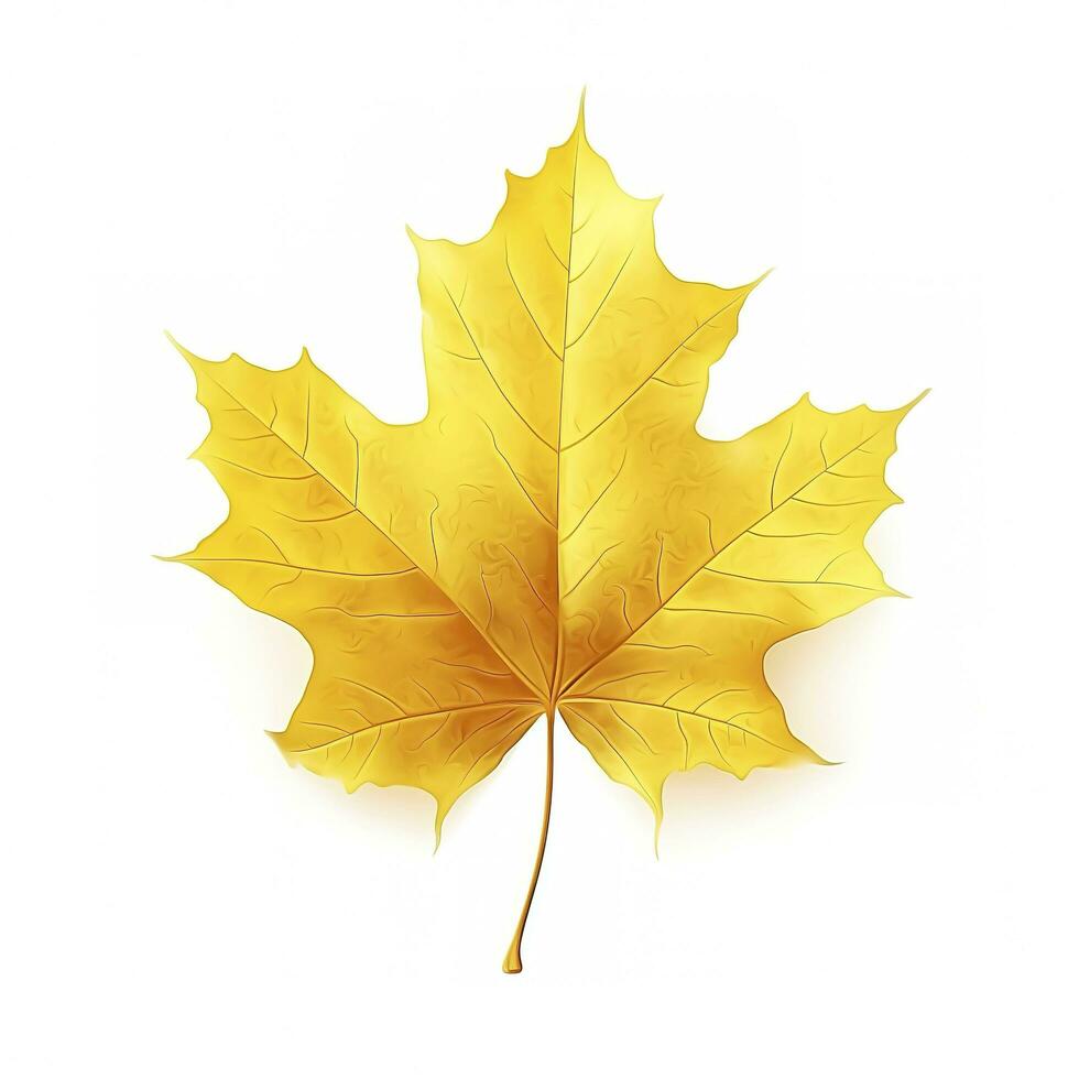 yellow maple leaf leaves on white background, generate ai photo
