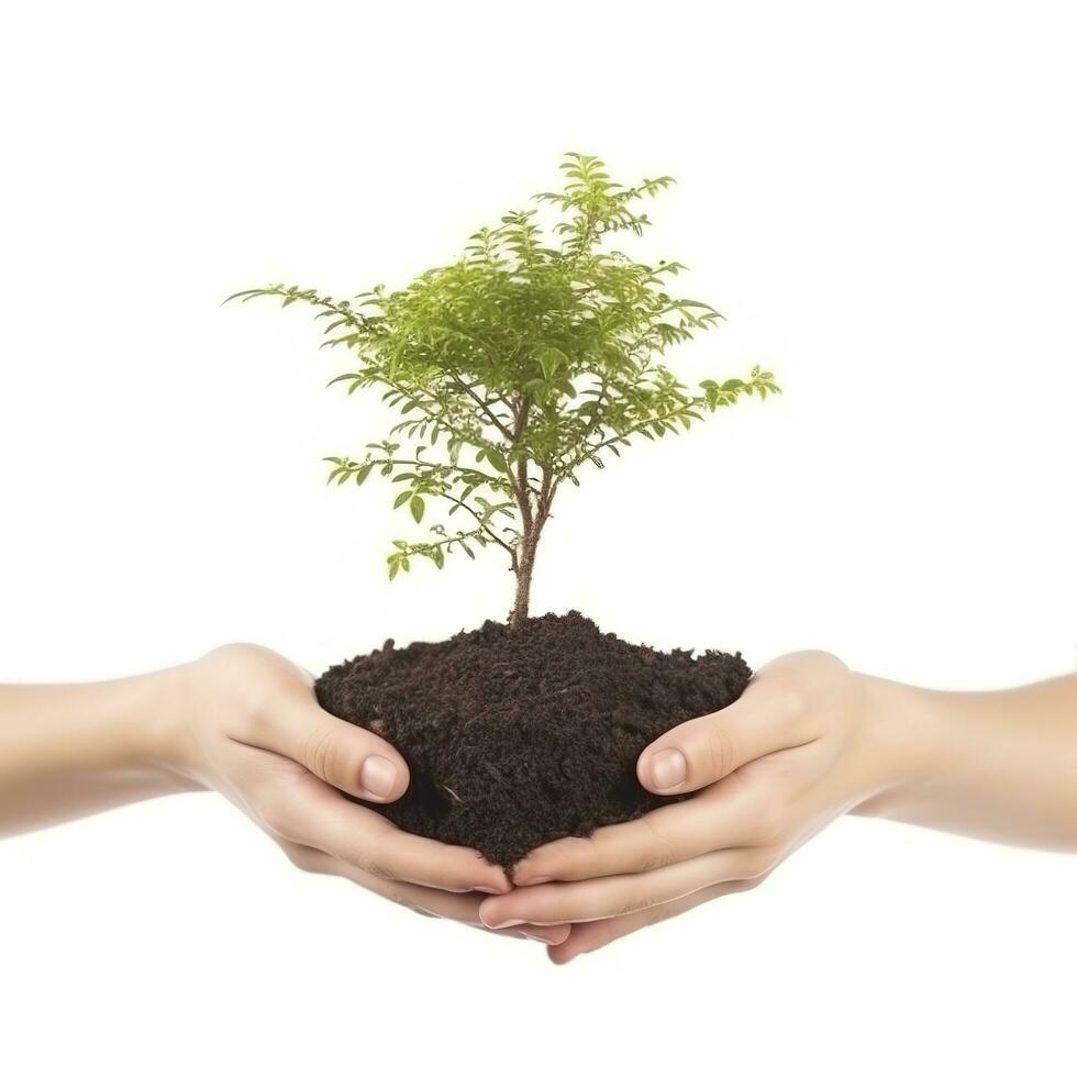 Environment Earth Day In the Tree plant in hand isolated on transparent background.Forest conservation concept, concept eco earth day. Saving the environment, ecology concept, generate ai photo