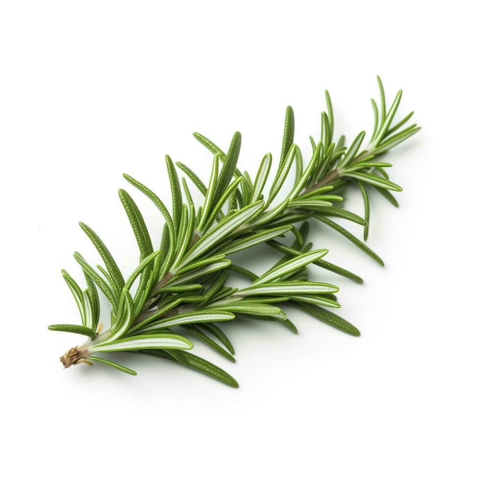 Fresh green organic rosemary leaves and pepper isolated on white background. natural transparent shadow, Ingredient, spice for cooking. collection for design, generate ai photo