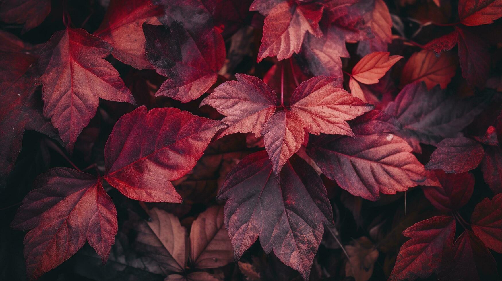 Artistic colorful oak autumn season leaves background, generate ai photo