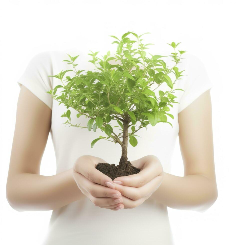 ambiente tierra día en el árbol planta en mujer mano aislado en blanco antecedentes. bosque conservación concepto, concepto eco tierra día. ahorro el ambiente, ecología concepto, generar ai foto