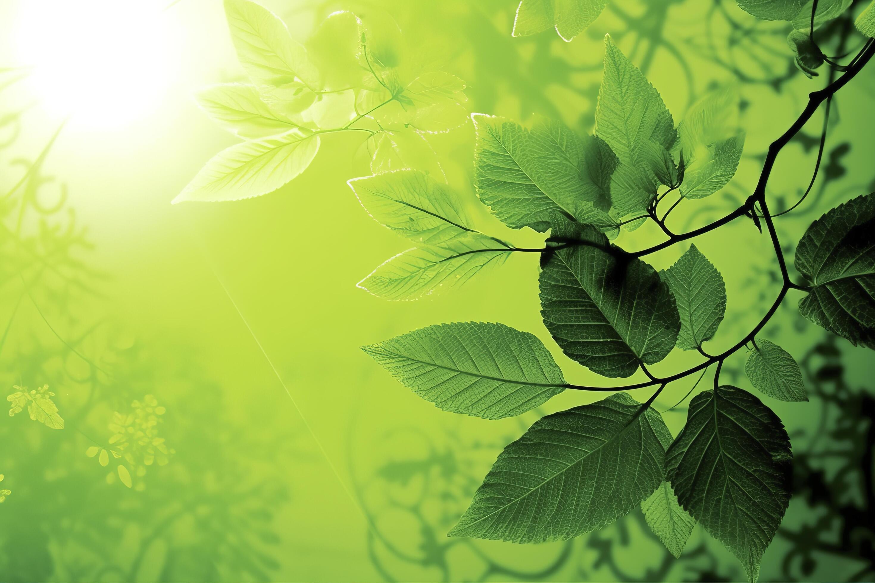 Leaf Nature Wallpaper Green Background