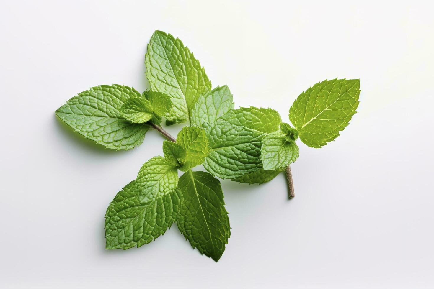 fresh green mint leaves isolated on white background, top view. Flat lay, generate ai photo