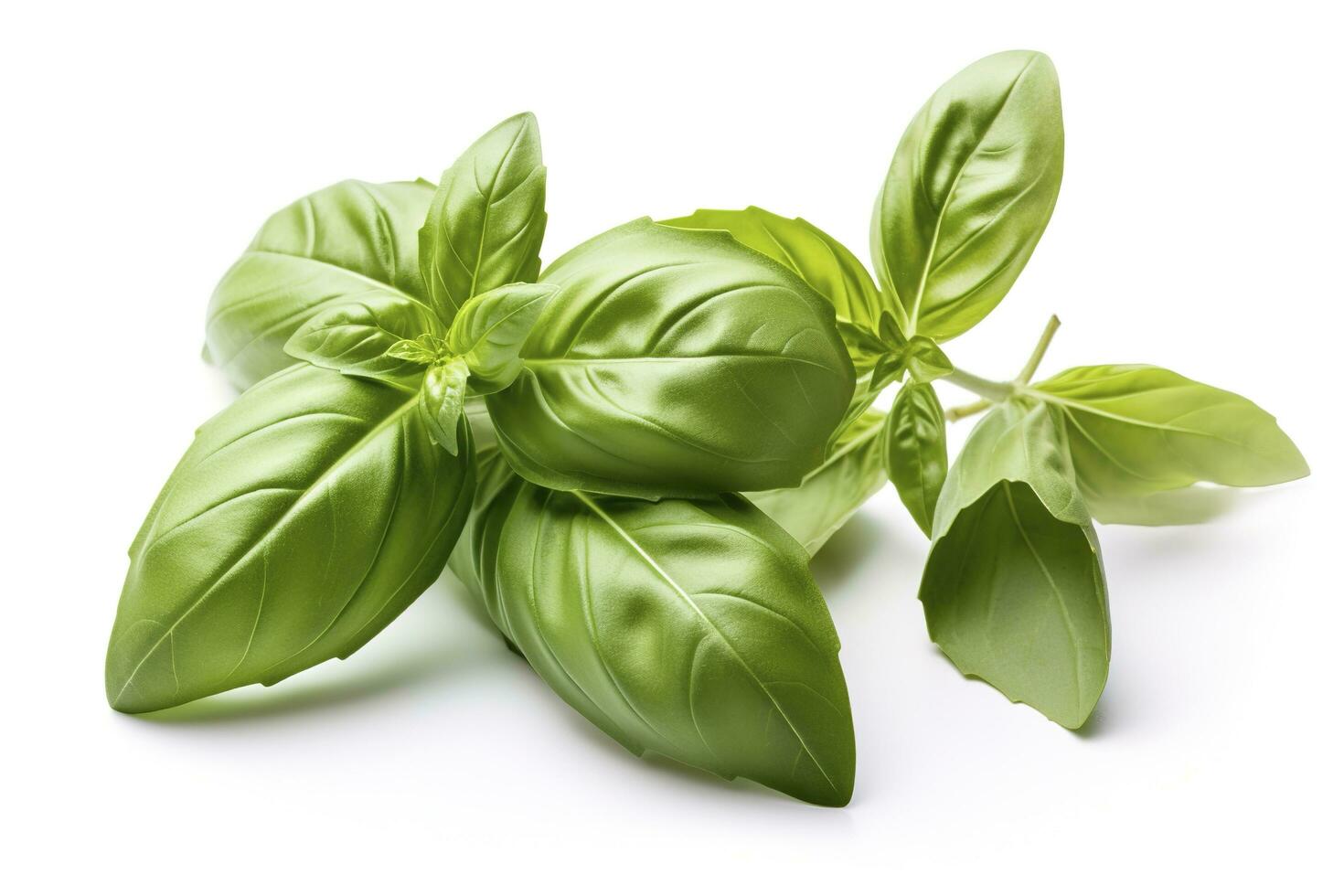 Fresh green organic basil and rosemary leaves isolated on white background, generate ai photo