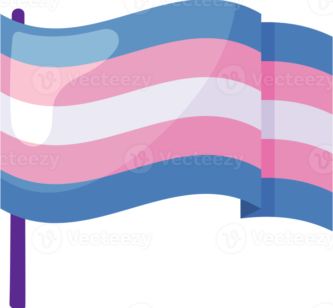 transgender flag pride day icon isolated png