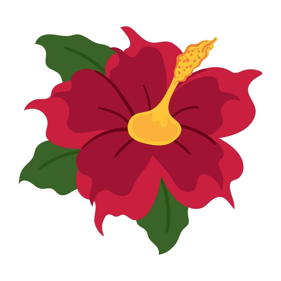 flower hibiscus and leaf vector icon