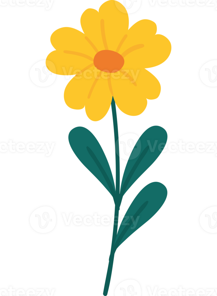 yellow flower spring 24405707 PNG