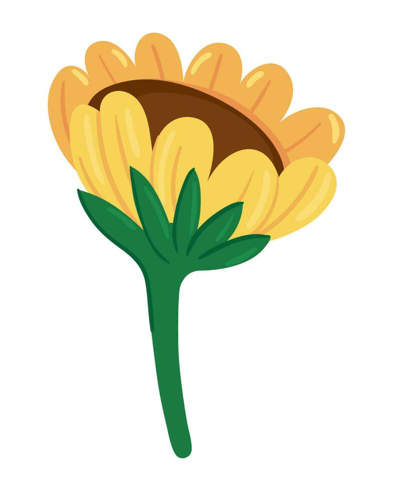 girasol icono aislado blanco antecedentes vector