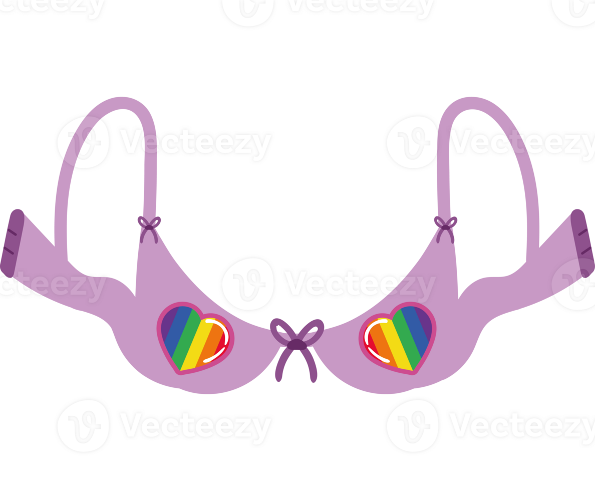 sostén con bandera lgbtq png