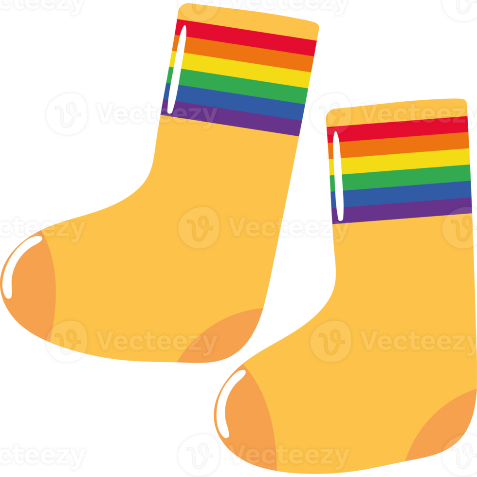 socks with flag LGBTQ png