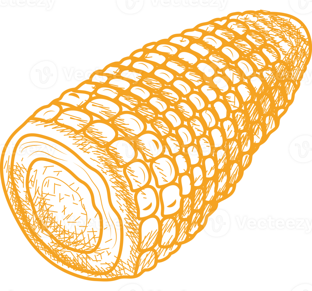 corn hand drawn food icon png