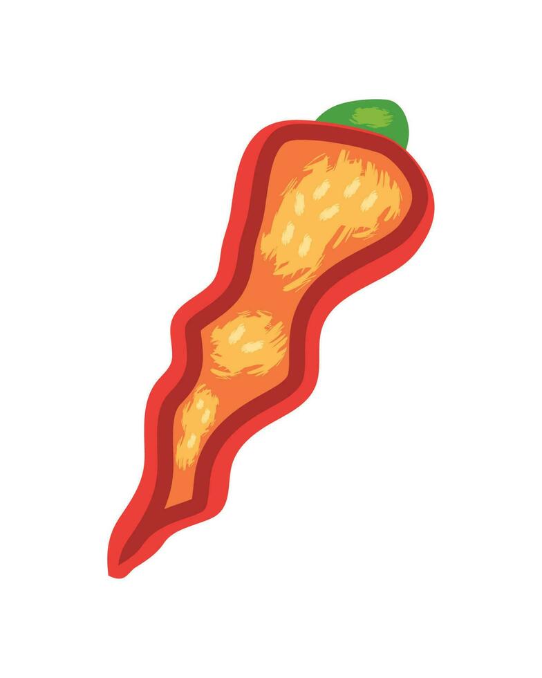 slice chili icon vector