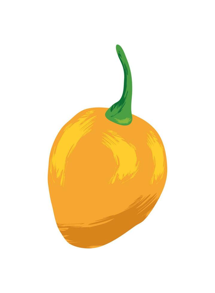 chili vegetable icon vector