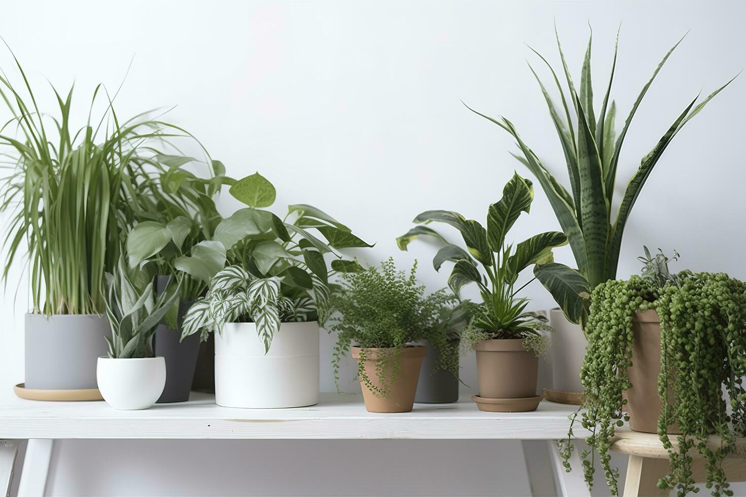 Green houseplants in pots and watering can on wooden table near white wall , generate ai photo
