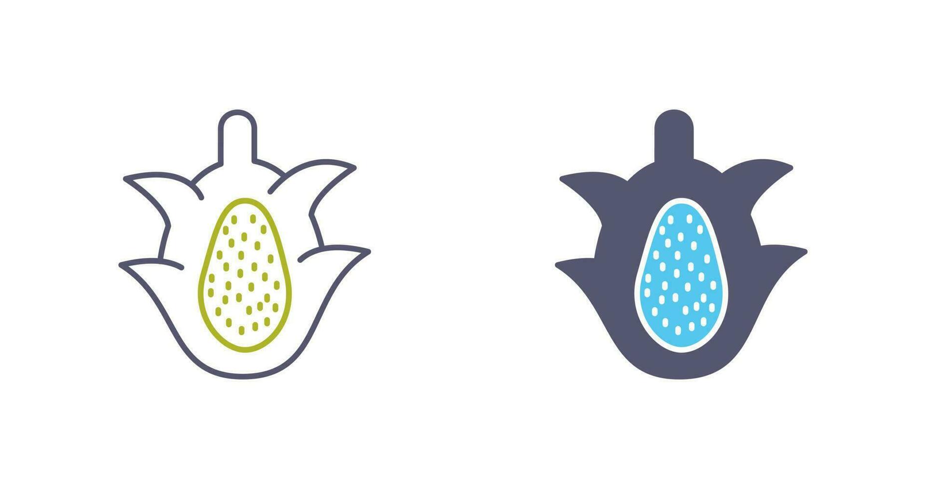 Dragon Fruit Vector Icon
