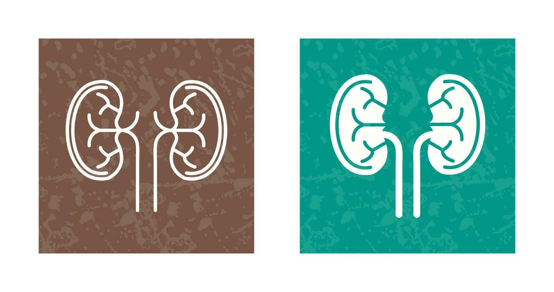 Kidney Vector Icon