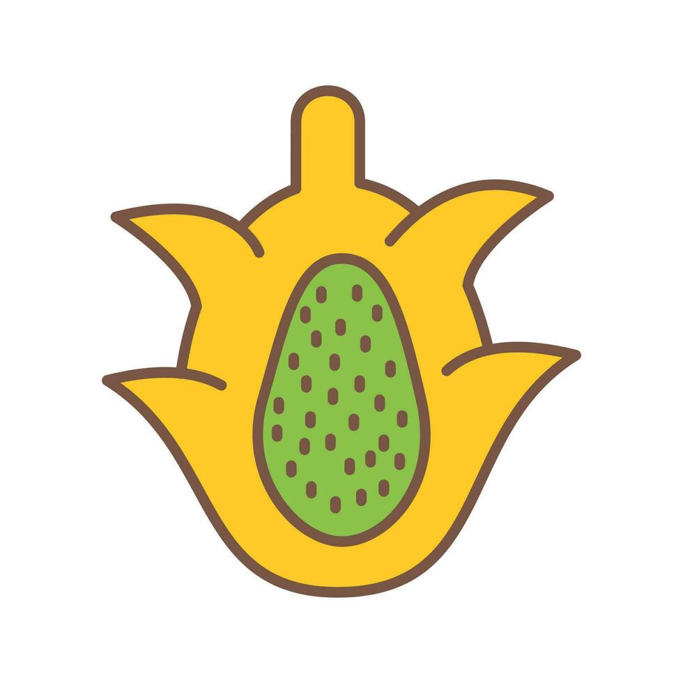 Dragon Fruit Vector Icon