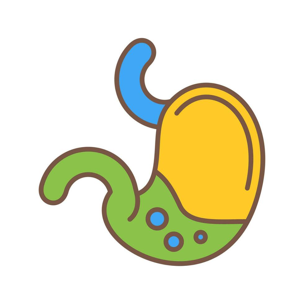Stomach Vector Icon