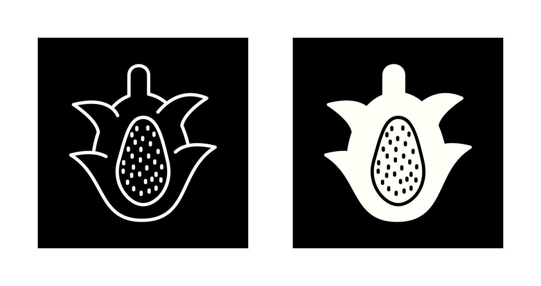 Dragon Fruit Vector Icon
