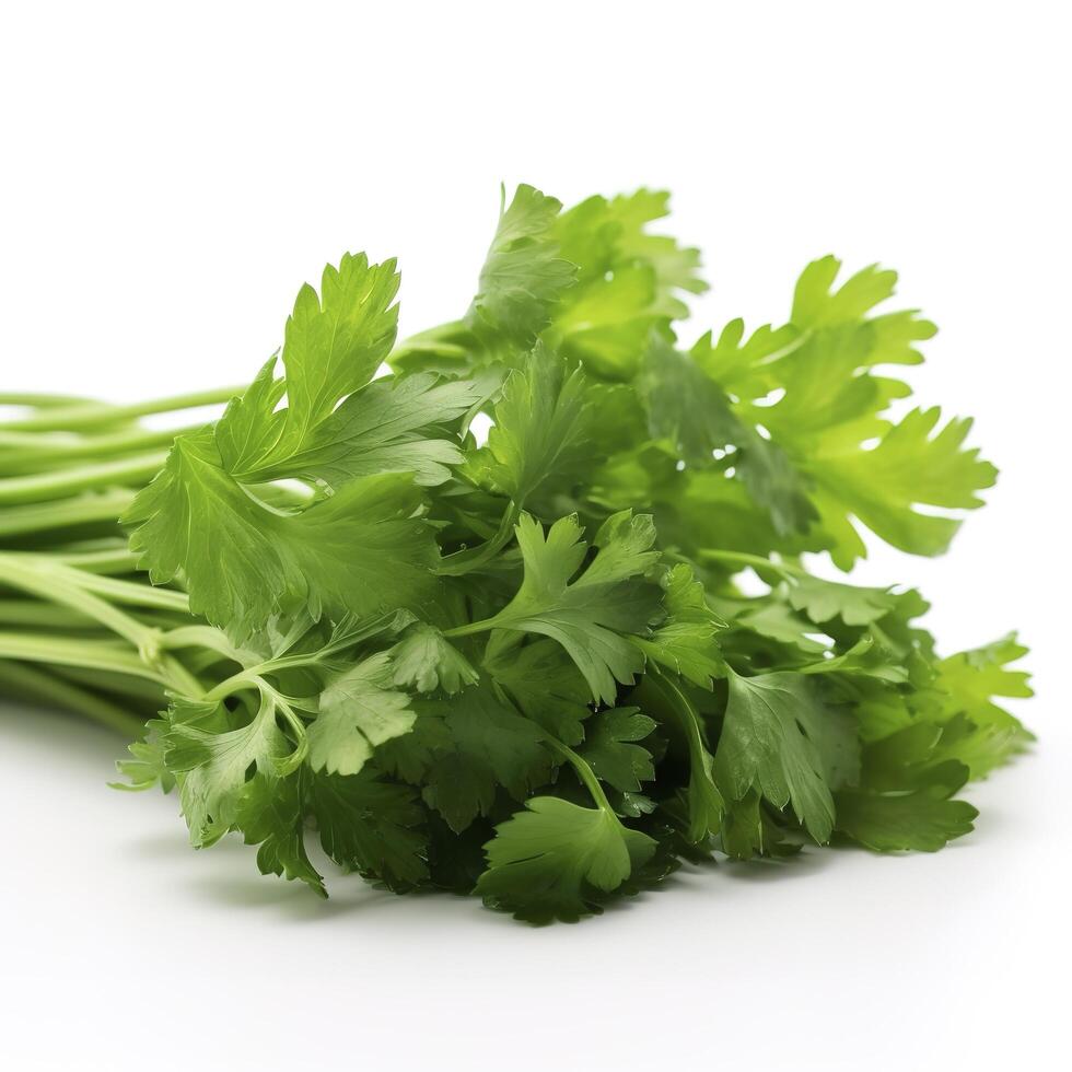 fresh cilantro coriander isolated on white background, generate ai photo