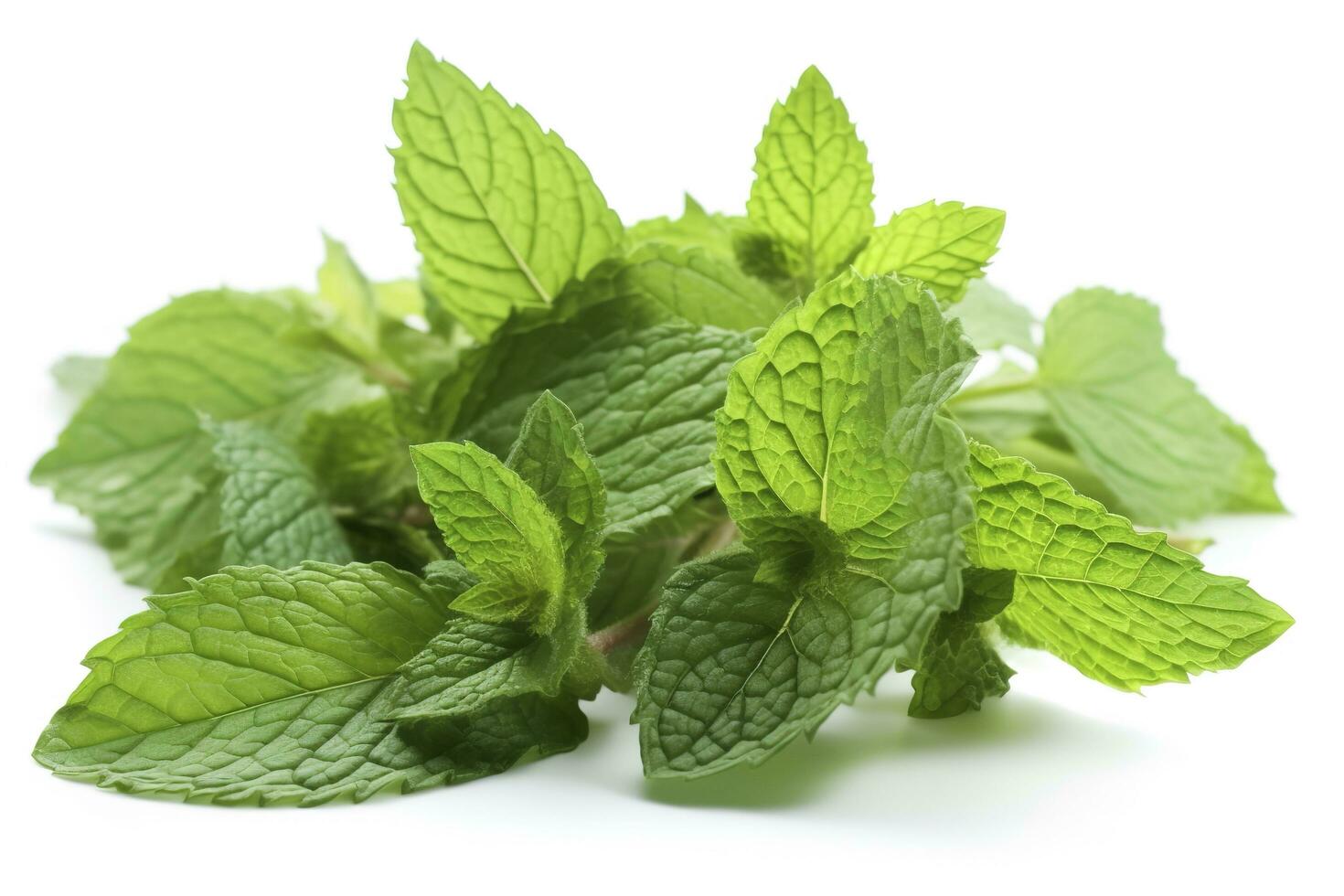 fresh green mint leaves isolated on white background, top view. Flat lay, generate ai photo