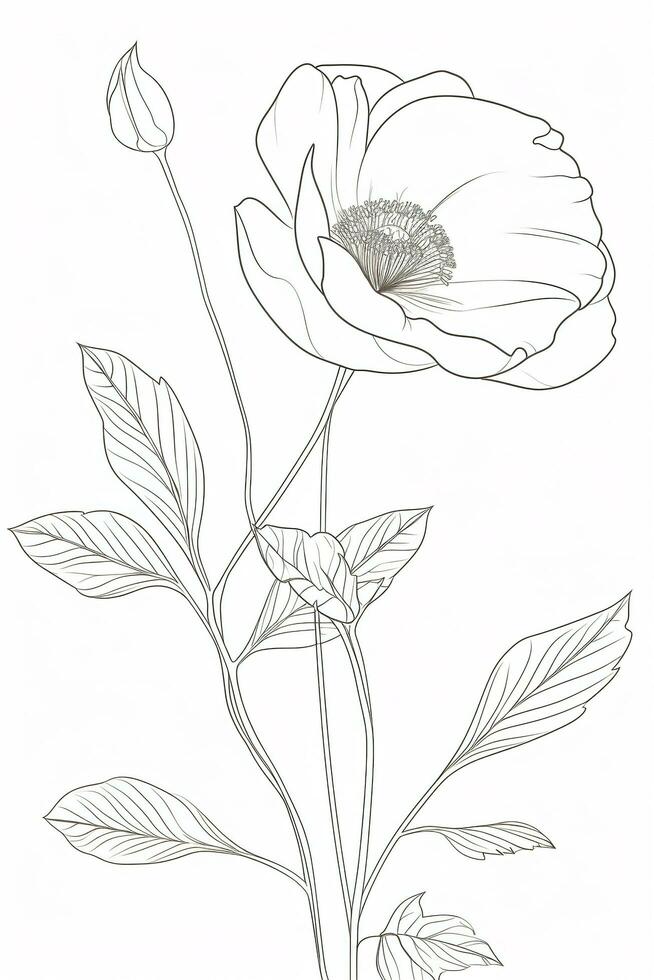 Poppy flowers in continuous line art drawing style. Doodle floral border with two flowers blooming among grass. Minimalist black linear design isolated on white background, generate ai photo