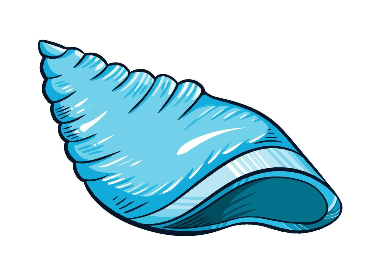 Blue empty sea shell vector illustration isolated on horizontal white background. Nature object art. Simple flat outlined cartoon art styled drawing.