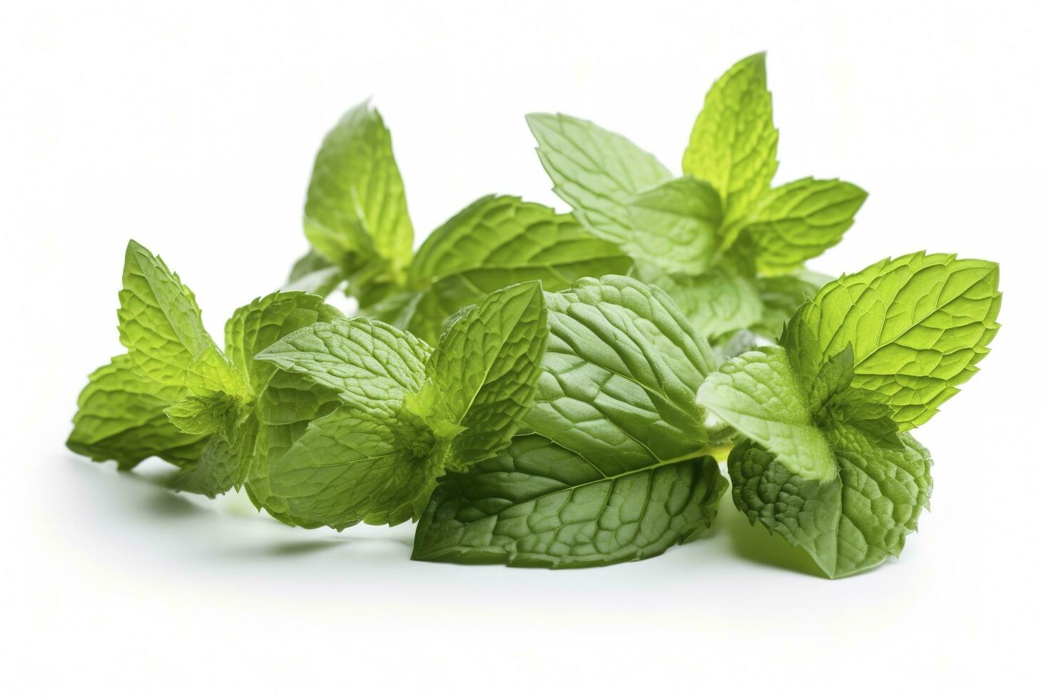 fresh green mint leaves isolated on white background, top view. Flat lay, generate ai photo
