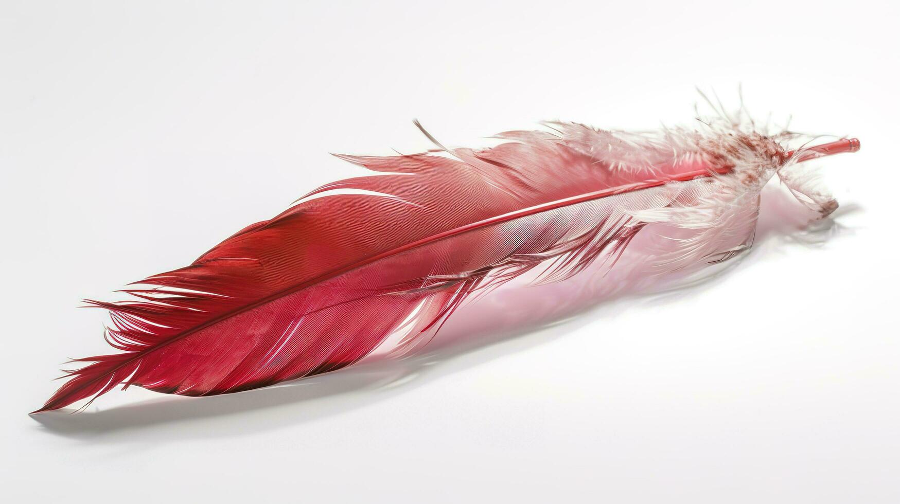 an old red feather which is drawn on a white background, in the style of light red and light pink, sketchfab, transparent medium, bold colours, generat ai photo