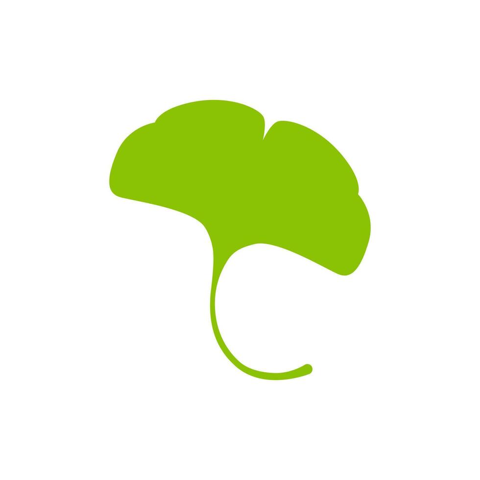 ginkgo biloba leaves vector icon