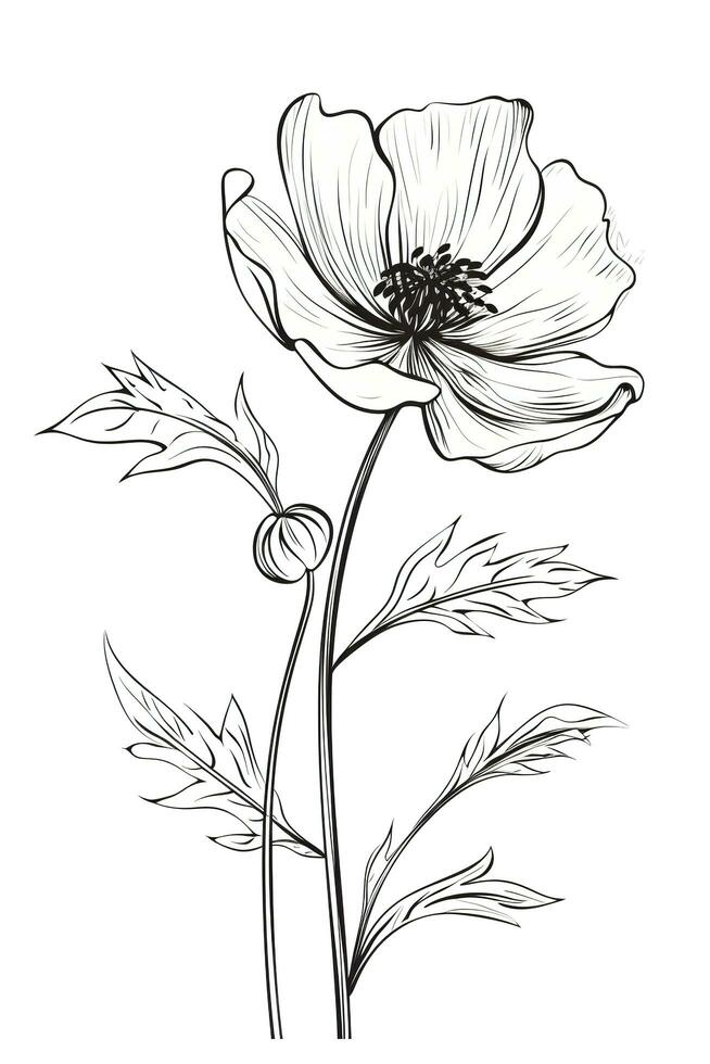 Poppy flowers in continuous line art drawing style. Doodle floral border with two flowers blooming among grass. Minimalist black linear design isolated on white background, generate ai photo