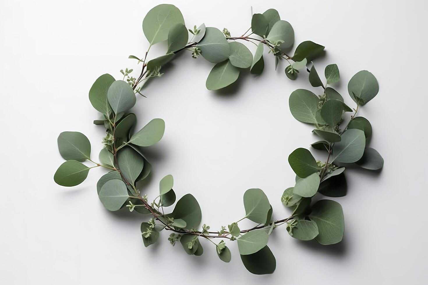 Wreath made of eucalyptus branches. Green floral frame made of eucalyptus leaves. Decorative wreath isolated on white. Minimal natural composition, botanical design, flat lay, top view. photo