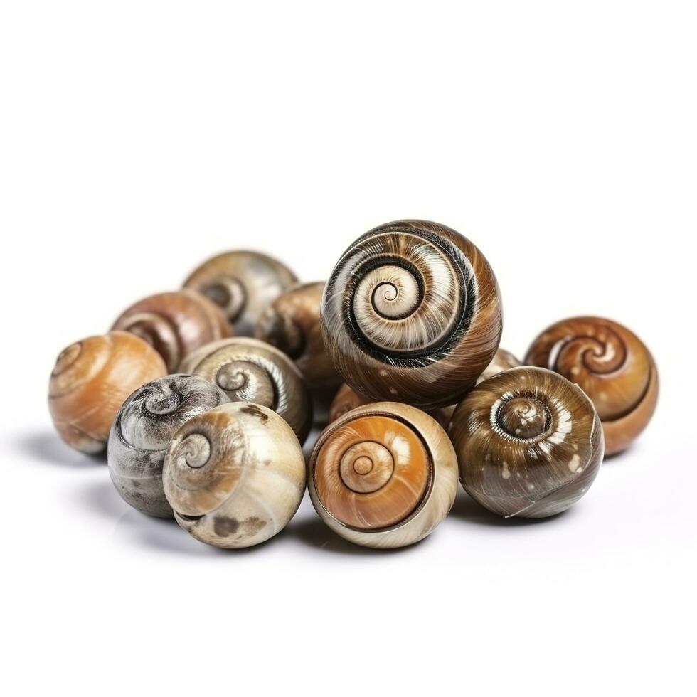 Snails isolated on white background, generate ai photo