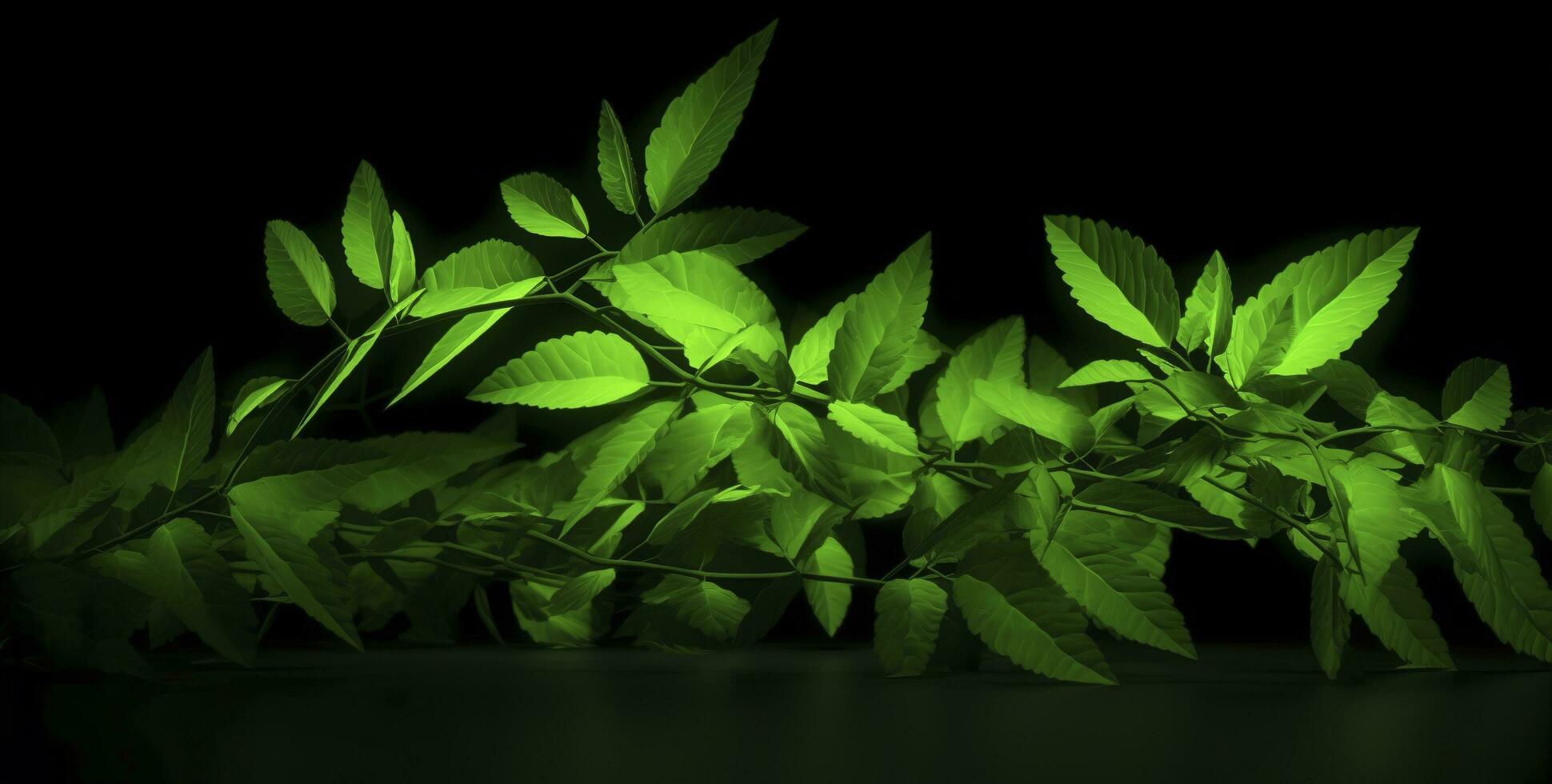 green florescent leaves copyspace, in the style of rtx on, avocadopunk, provia, velvia, generate ai photo