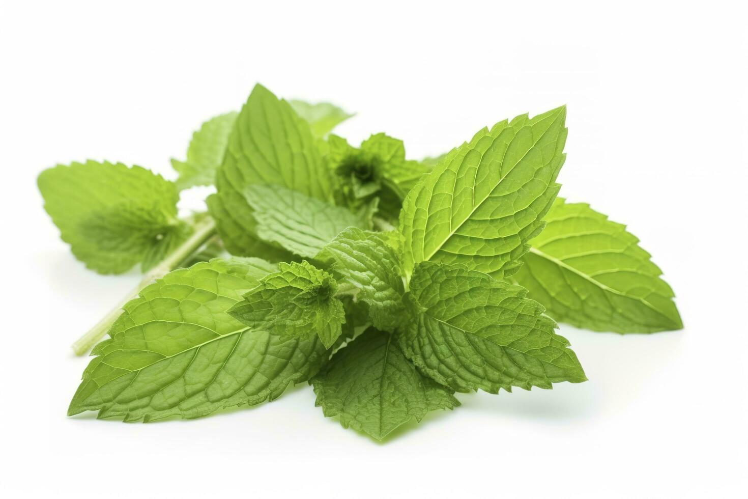 fresh green mint leaves isolated on white background, top view. Flat lay, generate ai photo