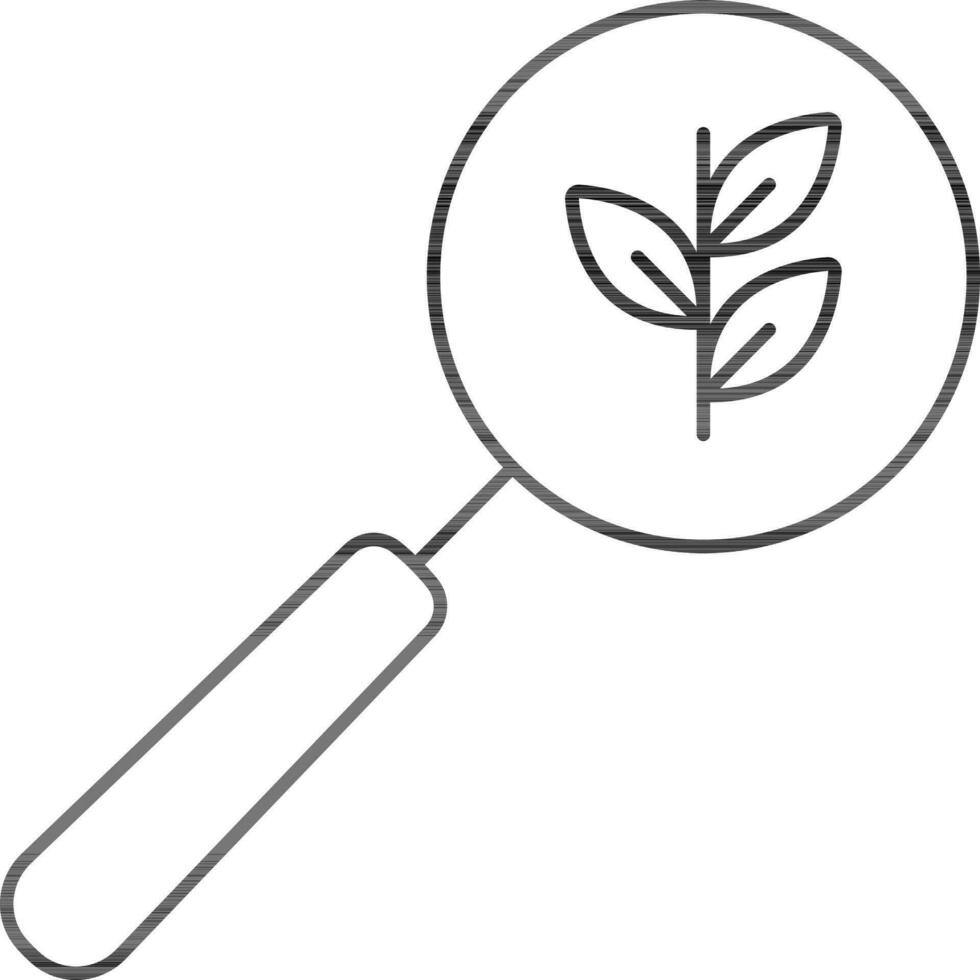 Search Plant Icon In Black Line Art. vector